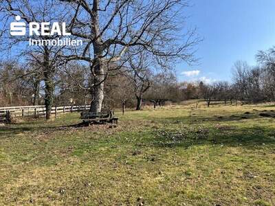 Haus kaufen in 7431 Bad Tatzmannsdorf (Bild 3)