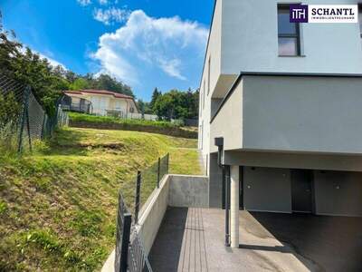 Mehrfamilienhaus kaufen in 8160 Weiz (Bild 4)