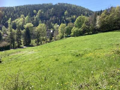 Grundstück provisionsfrei kaufen in 2671 Küb