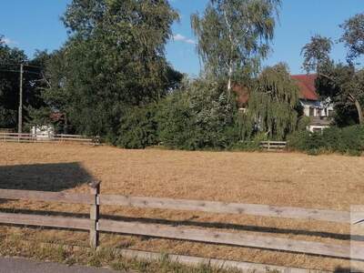 Grundstück kaufen in 4611 Buchkirchen