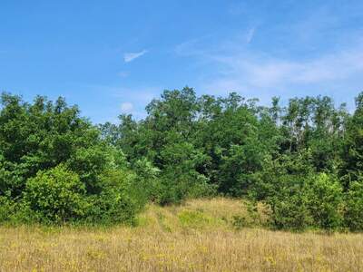 Grundstück kaufen in 52220 Labin (Bild 4)