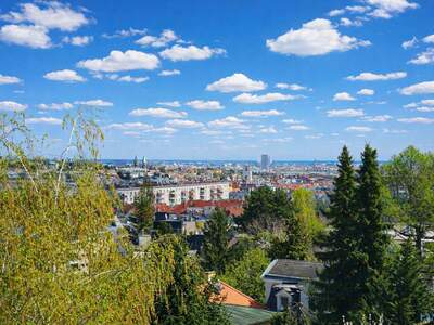 Wohnung kaufen in 1190 Wien