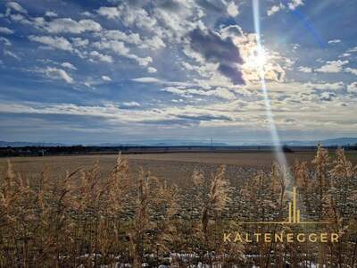 Grundstück kaufen in 2722 Weikersdorf (Bild 3)
