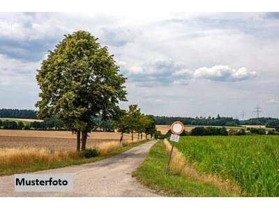 Gewerbeobjekt kaufen in 4372 St.Gerogen