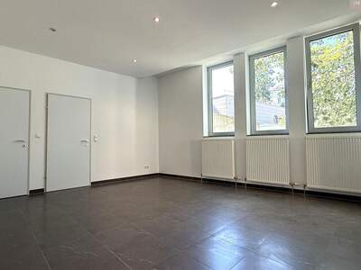 Gewerbeobjekt mieten in 1190 Wien (Bild 2)