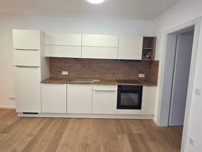 Wohnung provisionsfrei mieten in 1100 Wien