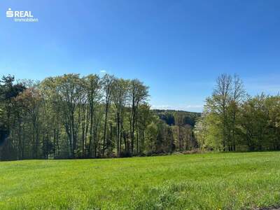 Grundstück kaufen in 8010 Hönigtal