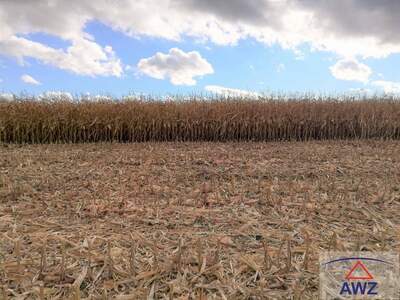 Gewerbeobjekt kaufen in 3061 Ollersbach