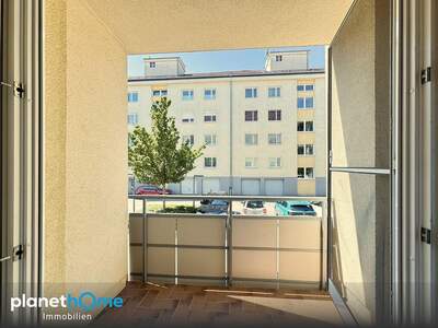 Terrassenwohnung kaufen in 1220 Wien (Bild 4)