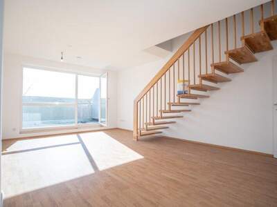 Terrassenwohnung mieten in 3382 Loosdorf (Bild 1)