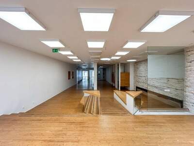 Gewerbeobjekt mieten in 2700 Wiener Neustadt