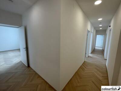 Gewerbeobjekt mieten in 1010 Wien (Bild 5)