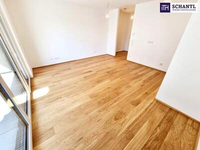 Terrassenwohnung mieten in 1230 Wien (Bild 5)