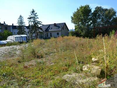 Grundstück kaufen in 2482 Münchendorf (Bild 3)