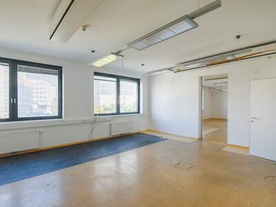 Gewerbeobjekt mieten in 1090 Wien (Bild 4)