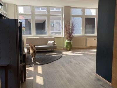 Gewerbeobjekt mieten in 1230 Wien (Bild 5)