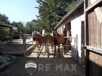 Grundstück kaufen in 2486 Pottendorf (Bild 5)