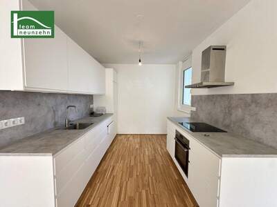 Terrassenwohnung mieten in 1230 Wien (Bild 4)