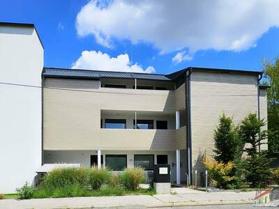 Terrassenwohnung kaufen in 1100 Wien (Bild 1)