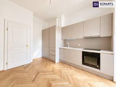 Terrassenwohnung kaufen in 1040 Wien (Bild 4)