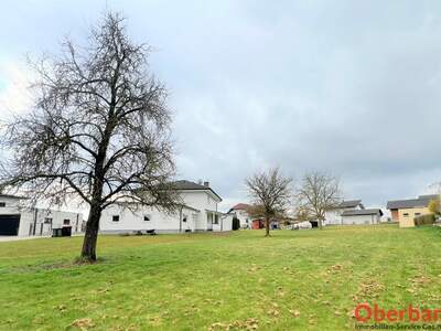 Grundstück kaufen in 4693 Desselbrunn