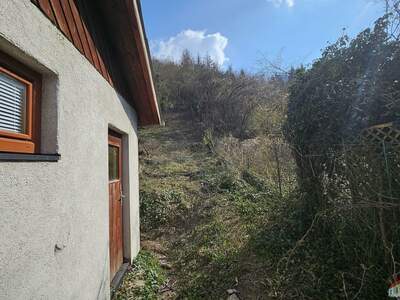 Grundstück kaufen in 3424 Wolfpassing (Bild 4)