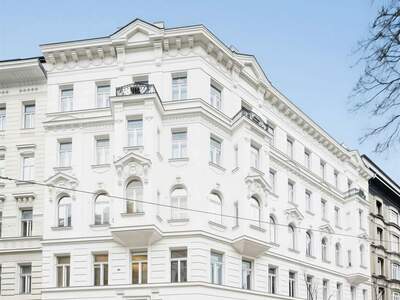 Gewerbeobjekt mieten in 1060 Wien (Bild 3)