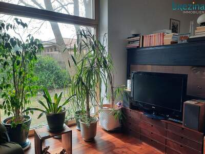 Haus mit Garten kaufen in 2125 Neubau (Bild 3)