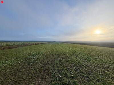 Grundstück kaufen in 8424 Gabersdorf