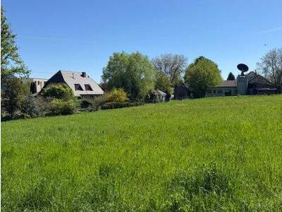 Mehrfamilienhaus kaufen in 4501 Neuhofen (Bild 2)