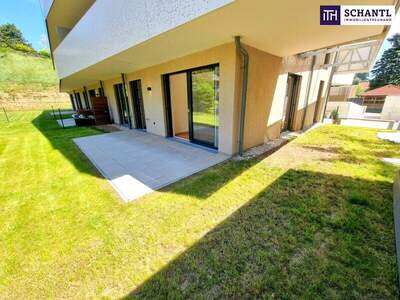 Terrassenwohnung kaufen in 2391 Kaltenleutgeben (Bild 1)