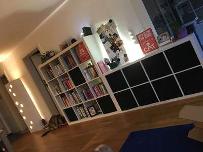 Terrassenwohnung mieten in 6923 Lauterach (Bild 4)