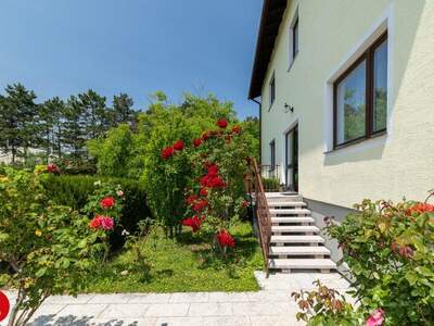 Mehrfamilienhaus kaufen in 2351 Wr. Neudorf (Bild 2)