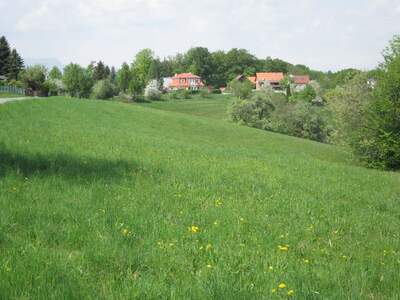 Grundstück kaufen in 8302 Nestelbach