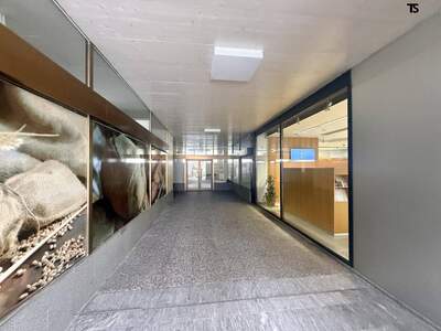 Gewerbeobjekt kaufen in 6820 Frastanz