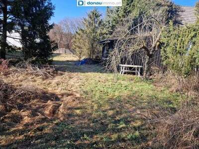 Grundstück kaufen in 2822 Föhrenau