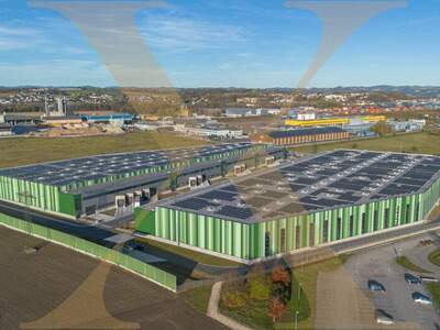 Halle / Lager / Produktion mieten in 4470 Enns