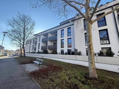 Wohnung kaufen in 2020 Hollabrunn