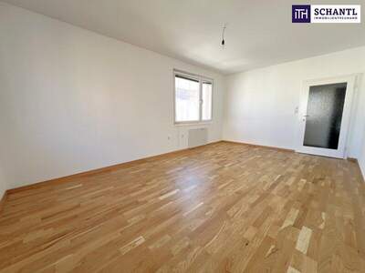 Wohnung mieten in 1100 Wien (Bild 3)