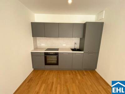 Terrassenwohnung mieten in 1110 Wien (Bild 2)