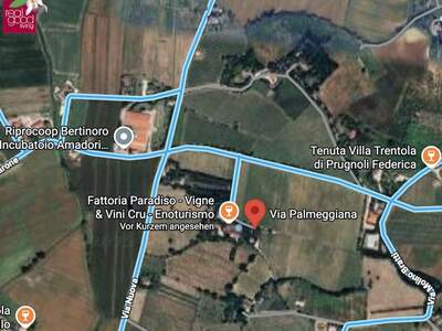 Gewerbeobjekt kaufen in 47032 Bertinoro (Bild 3)