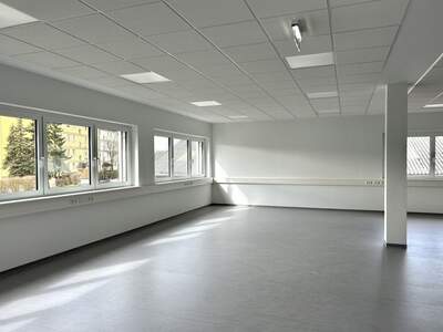 Gewerbeobjekt mieten in 4061 Pasching (Bild 3)