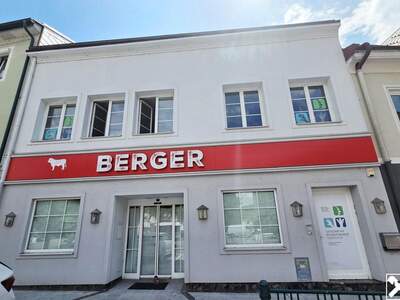 Gewerbeobjekt mieten in 3150 Wilhelmsburg (Bild 1)