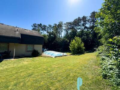 Haus mit Garten kaufen in 2491 Zillingdorf (Bild 2)