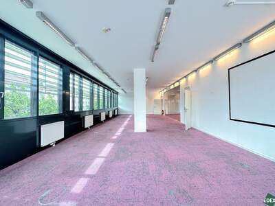 Gewerbeobjekt mieten in 1200 Wien (Bild 2)