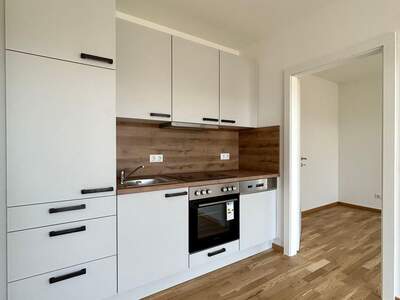Anlageobjekt kaufen in 8054 Graz