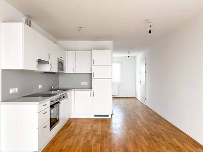 Wohnung mieten in 1100 Wien