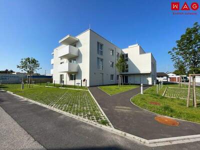 Wohnung mieten in 4060 Leonding