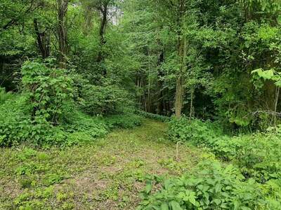 Einfamilienhaus kaufen in 3571 Gars (Bild 4)