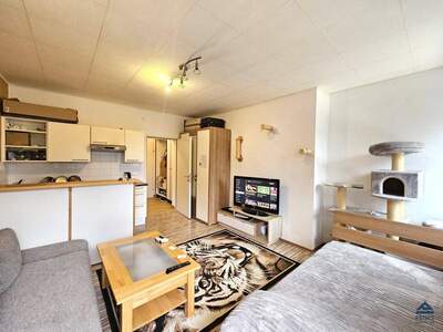 Wohnung mieten in 5082 Grödig